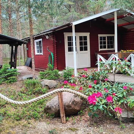Nova Madise Guesthouse Rannaküla エクステリア 写真