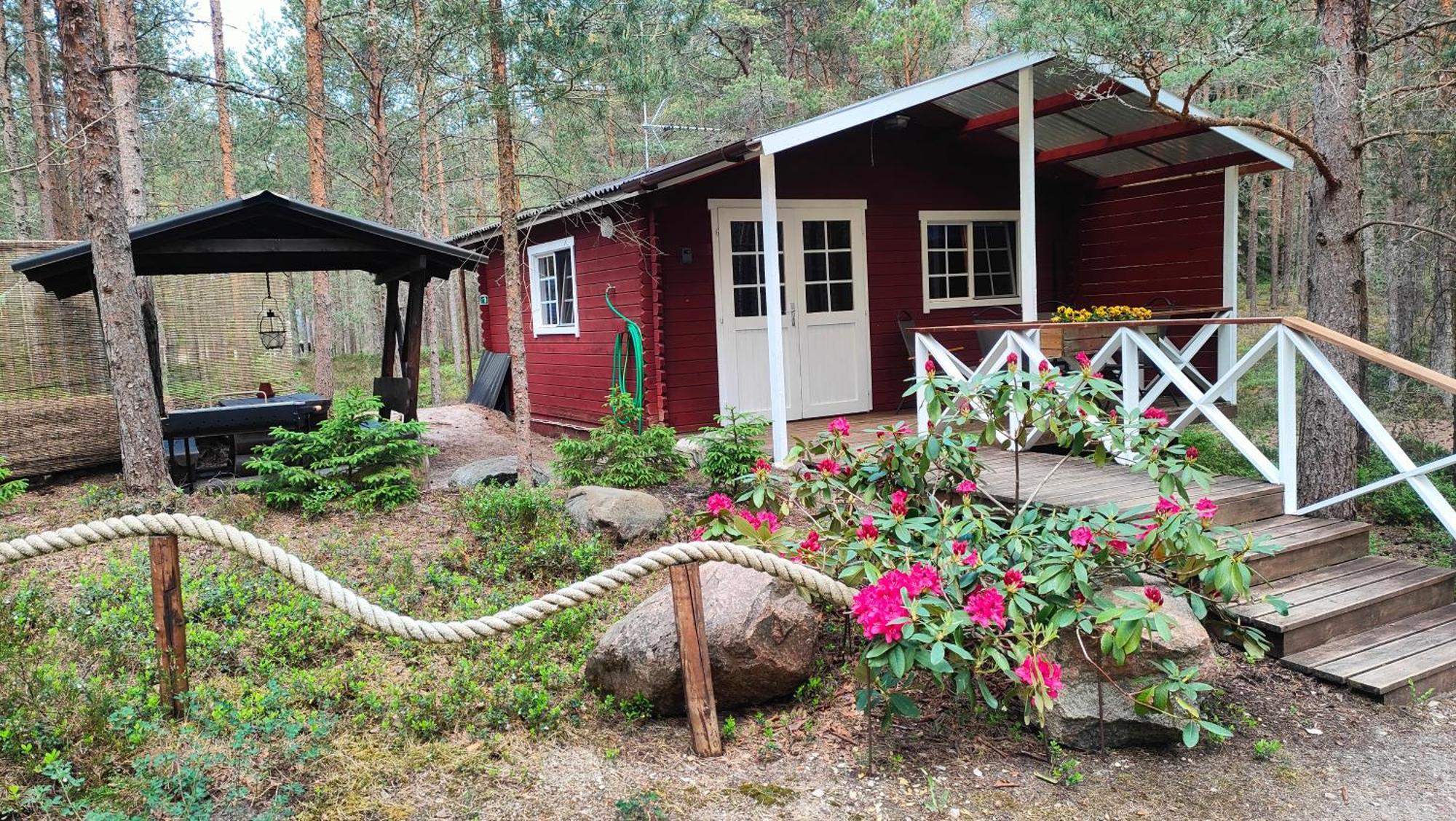 Nova Madise Guesthouse Rannaküla エクステリア 写真