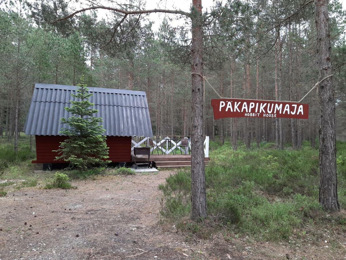 Nova Madise Guesthouse Rannaküla エクステリア 写真