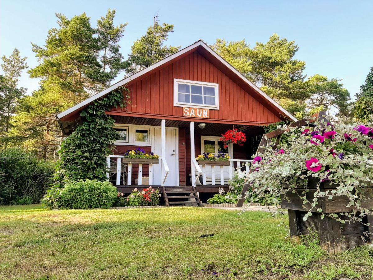 Nova Madise Guesthouse Rannaküla エクステリア 写真