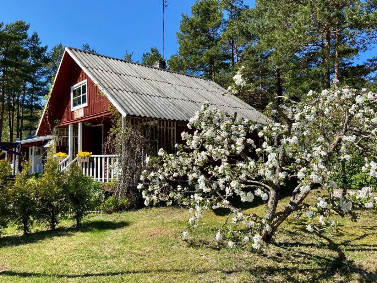 Nova Madise Guesthouse Rannaküla エクステリア 写真